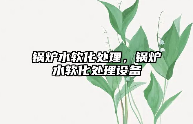 鍋爐水軟化處理，鍋爐水軟化處理設備