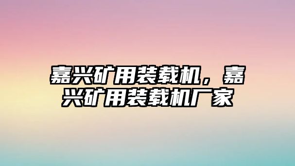 嘉興礦用裝載機，嘉興礦用裝載機廠家