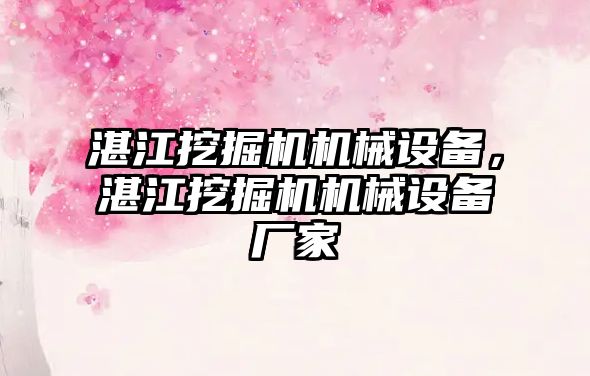 湛江挖掘機機械設備，湛江挖掘機機械設備廠家