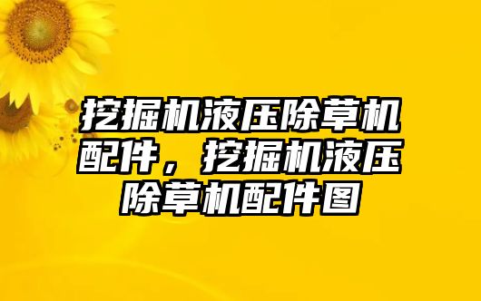 挖掘機液壓除草機配件，挖掘機液壓除草機配件圖