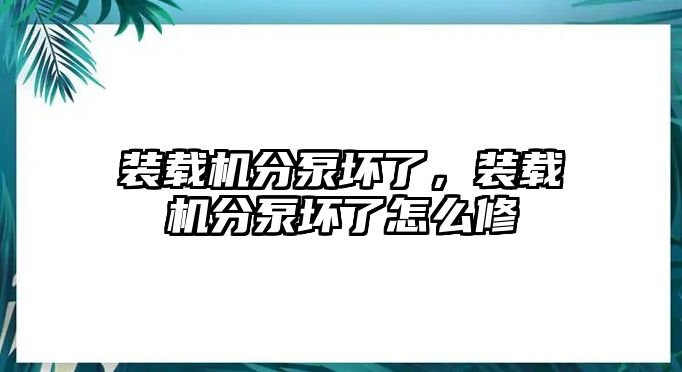 裝載機分泵壞了，裝載機分泵壞了怎么修