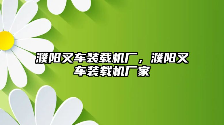 濮陽叉車裝載機廠，濮陽叉車裝載機廠家