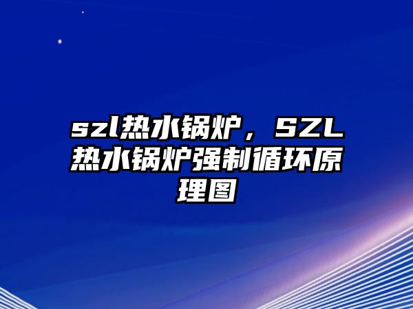 szl熱水鍋爐，SZL熱水鍋爐強制循環(huán)原理圖