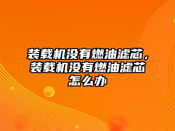 裝載機沒有燃油濾芯，裝載機沒有燃油濾芯怎么辦