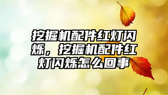 挖掘機配件紅燈閃爍，挖掘機配件紅燈閃爍怎么回事