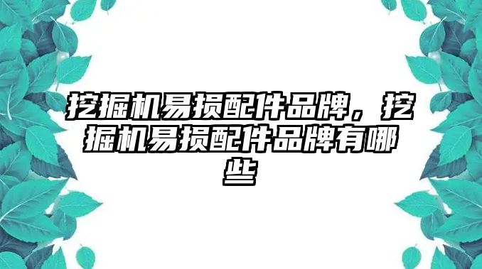 挖掘機易損配件品牌，挖掘機易損配件品牌有哪些