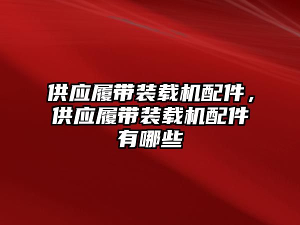 供應履帶裝載機配件，供應履帶裝載機配件有哪些