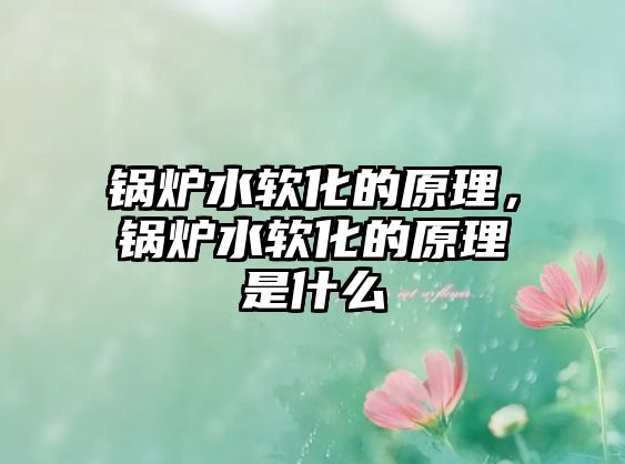 鍋爐水軟化的原理，鍋爐水軟化的原理是什么