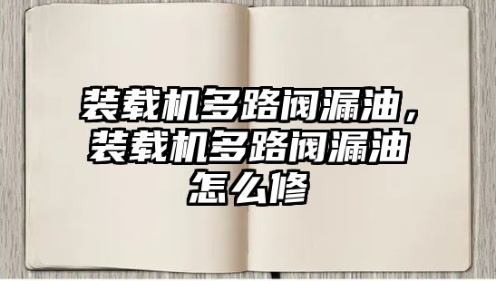 裝載機多路閥漏油，裝載機多路閥漏油怎么修