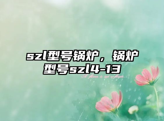 szl型號(hào)鍋爐，鍋爐型號(hào)szl4-13