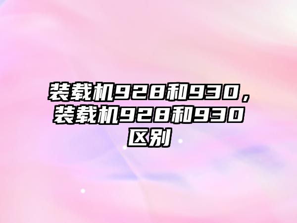 裝載機928和930，裝載機928和930區別