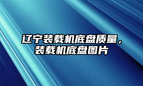 遼寧裝載機底盤質(zhì)量，裝載機底盤圖片