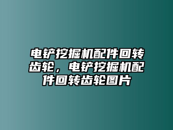 電鏟挖掘機配件回轉齒輪，電鏟挖掘機配件回轉齒輪圖片