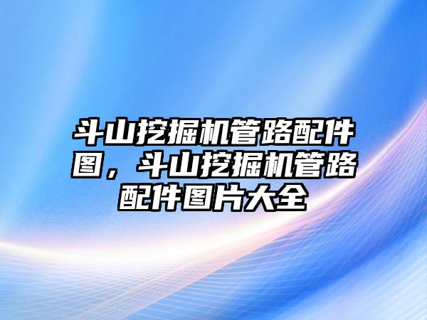 斗山挖掘機管路配件圖，斗山挖掘機管路配件圖片大全