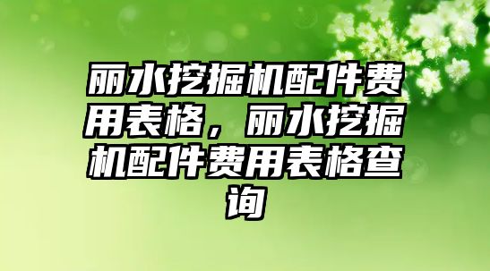 麗水挖掘機配件費用表格，麗水挖掘機配件費用表格查詢