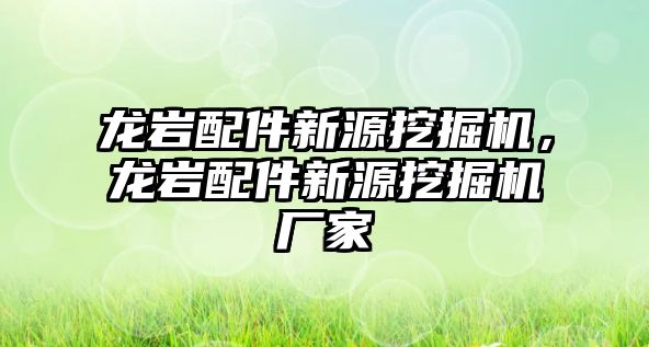 龍巖配件新源挖掘機，龍巖配件新源挖掘機廠家