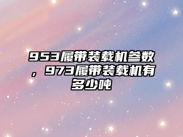 953履帶裝載機參數，973履帶裝載機有多少噸