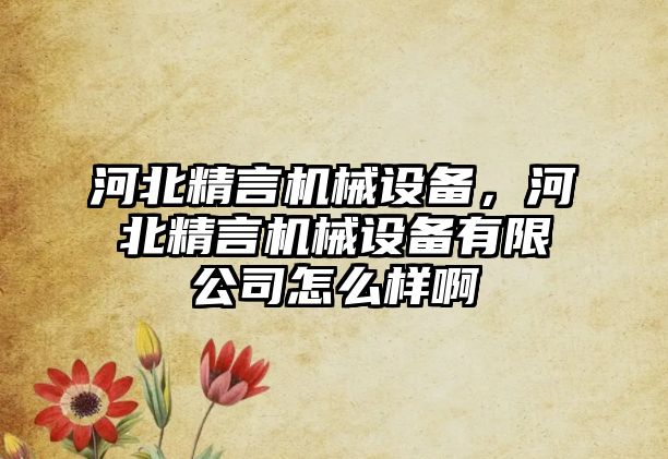 河北精言機械設備，河北精言機械設備有限公司怎么樣啊