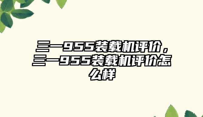 三一955裝載機評價，三一955裝載機評價怎么樣