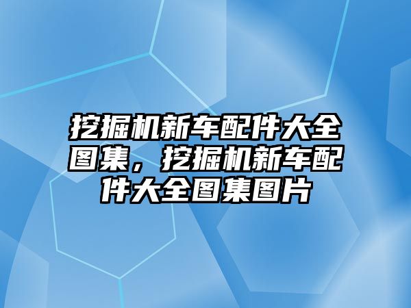 挖掘機新車配件大全圖集，挖掘機新車配件大全圖集圖片