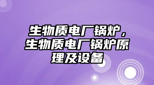 生物質(zhì)電廠鍋爐，生物質(zhì)電廠鍋爐原理及設備