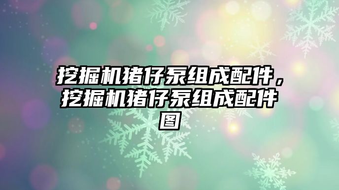 挖掘機豬仔泵組成配件，挖掘機豬仔泵組成配件圖