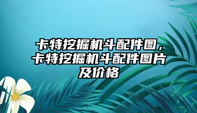 卡特挖掘機斗配件圖，卡特挖掘機斗配件圖片及價格