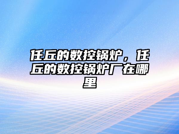 任丘的數控鍋爐，任丘的數控鍋爐廠在哪里