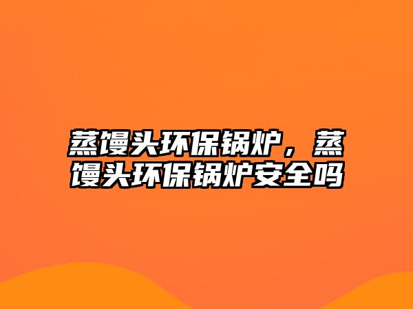 蒸饅頭環保鍋爐，蒸饅頭環保鍋爐安全嗎