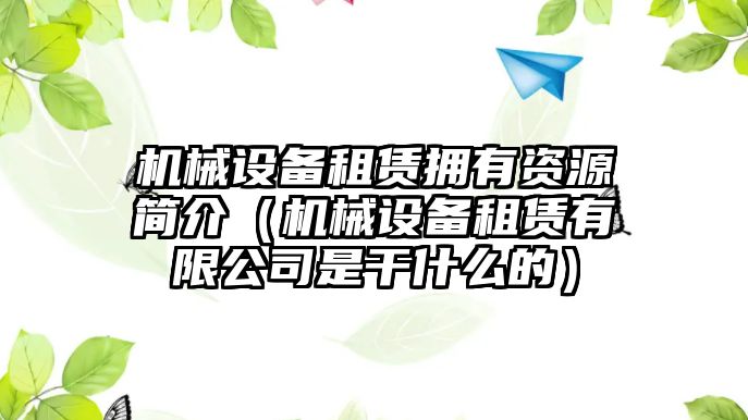 機械設備租賃擁有資源簡介（機械設備租賃有限公司是干什么的）