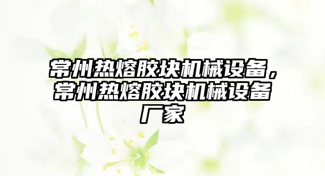 常州熱熔膠塊機械設備，常州熱熔膠塊機械設備廠家