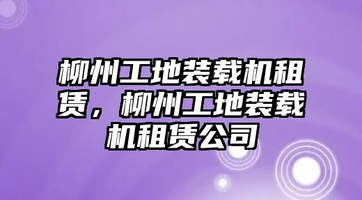 柳州工地裝載機租賃，柳州工地裝載機租賃公司