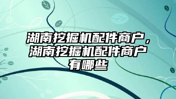 湖南挖掘機配件商戶，湖南挖掘機配件商戶有哪些