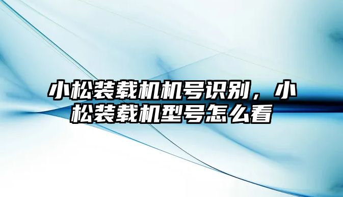 小松裝載機(jī)機(jī)號(hào)識(shí)別，小松裝載機(jī)型號(hào)怎么看