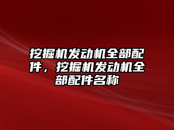 挖掘機發動機全部配件，挖掘機發動機全部配件名稱