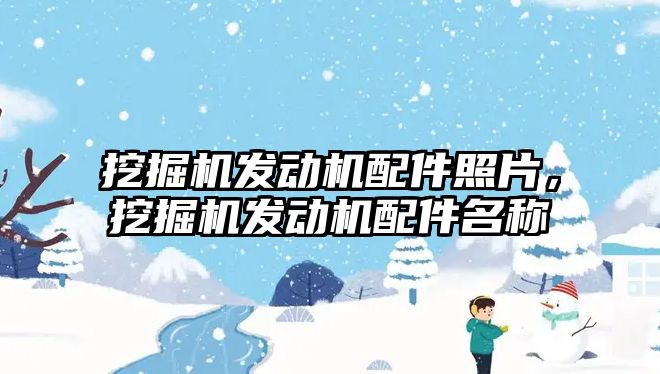 挖掘機發動機配件照片，挖掘機發動機配件名稱