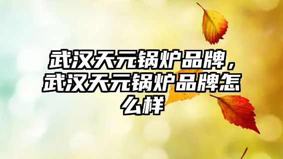 武漢天元鍋爐品牌，武漢天元鍋爐品牌怎么樣