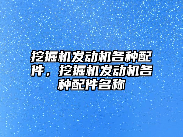 挖掘機發動機各種配件，挖掘機發動機各種配件名稱