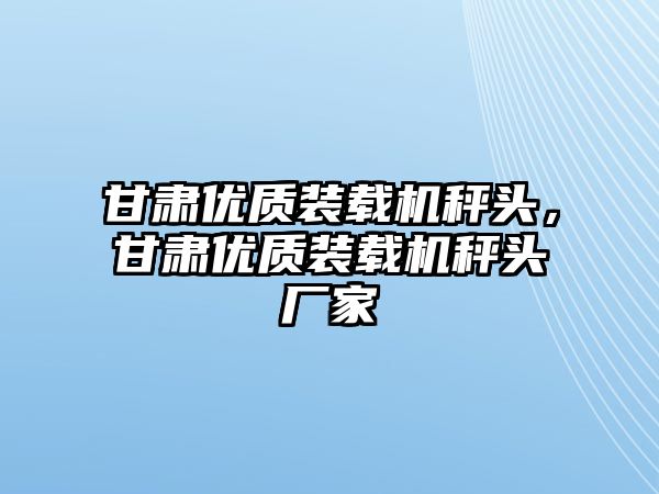 甘肅優質裝載機秤頭，甘肅優質裝載機秤頭廠家