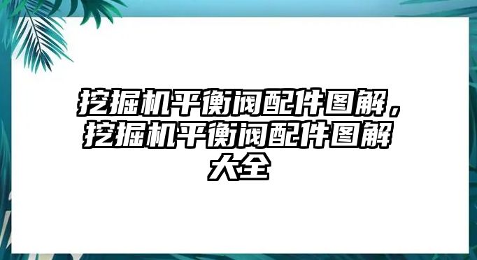 挖掘機平衡閥配件圖解，挖掘機平衡閥配件圖解大全