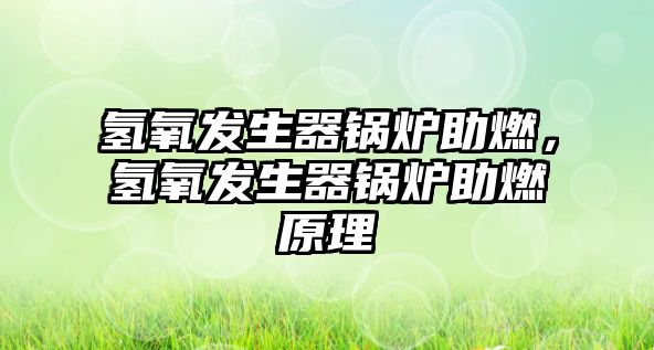 氫氧發生器鍋爐助燃，氫氧發生器鍋爐助燃原理