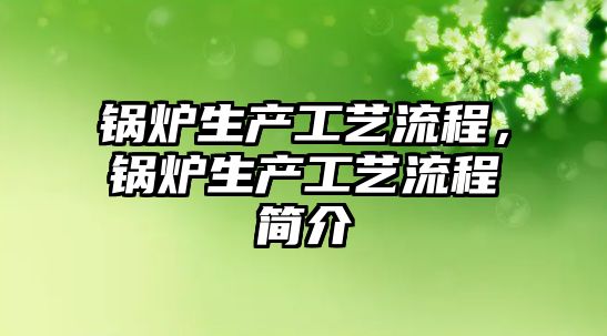 鍋爐生產工藝流程，鍋爐生產工藝流程簡介