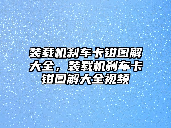 裝載機(jī)剎車卡鉗圖解大全，裝載機(jī)剎車卡鉗圖解大全視頻