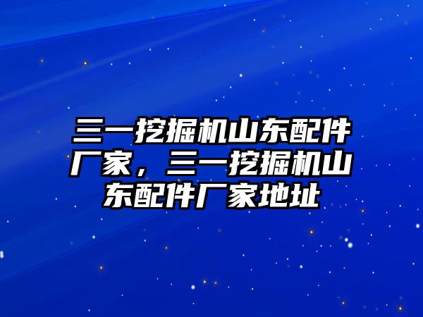 三一挖掘機山東配件廠家，三一挖掘機山東配件廠家地址