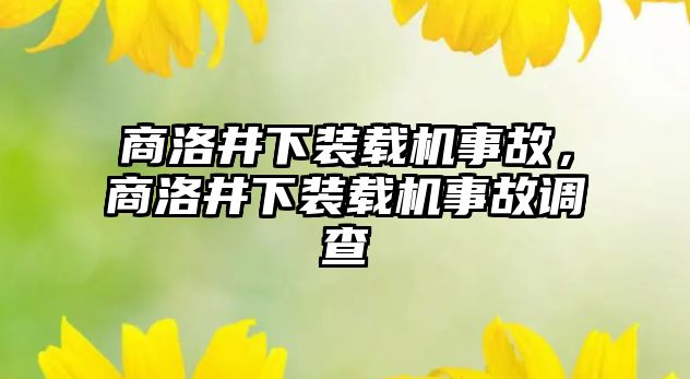 商洛井下裝載機事故，商洛井下裝載機事故調查