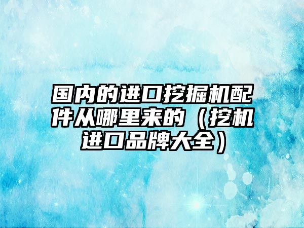 國內的進口挖掘機配件從哪里來的（挖機進口品牌大全）