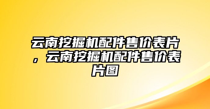 云南挖掘機(jī)配件售價表片，云南挖掘機(jī)配件售價表片圖