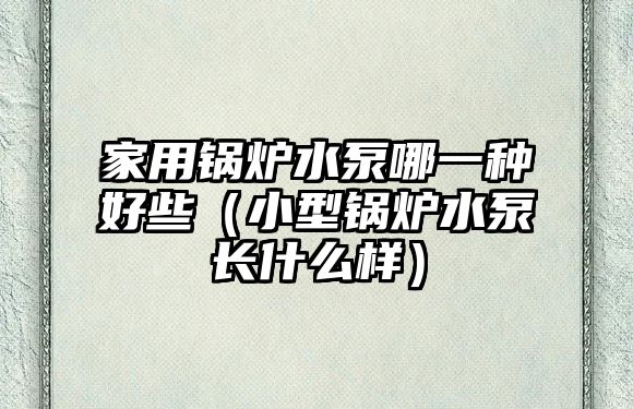 家用鍋爐水泵哪一種好些（小型鍋爐水泵長什么樣）