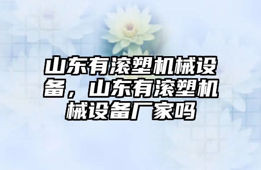 山東有滾塑機械設(shè)備，山東有滾塑機械設(shè)備廠家嗎