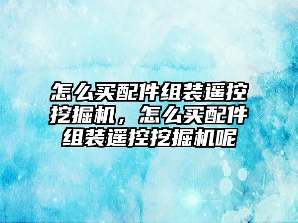 怎么買配件組裝遙控挖掘機，怎么買配件組裝遙控挖掘機呢